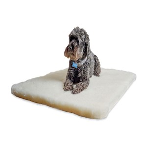 https://www.bronteglen.co.uk/_uploads/img/products/small/Bronte%20Glen%20Wool%20Pet%20Mat%20-%20Alfie.jpg